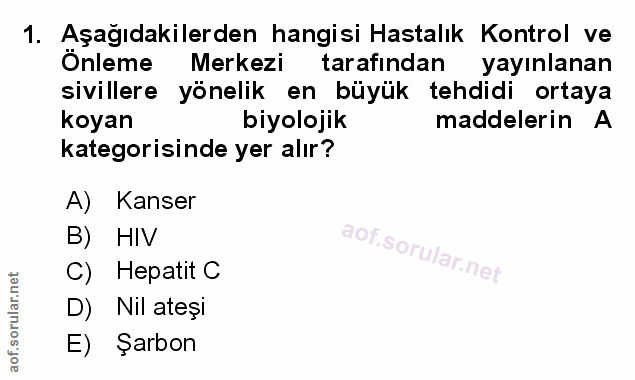 Soru 1