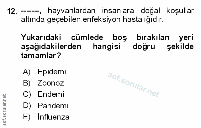 Soru 12