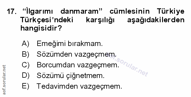 Soru 17