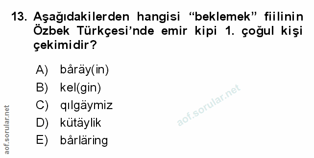 Soru 13