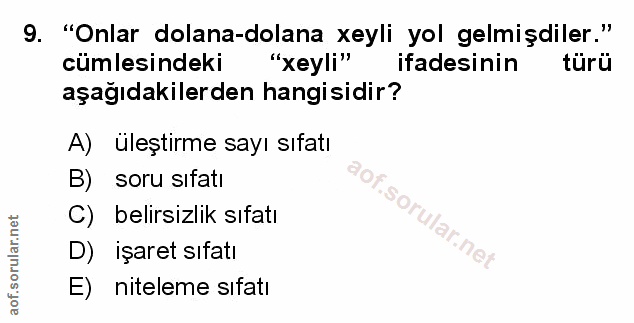 Soru 9