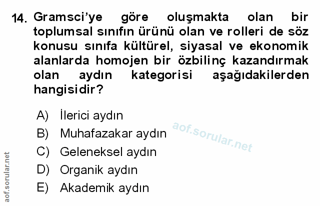 Soru 14