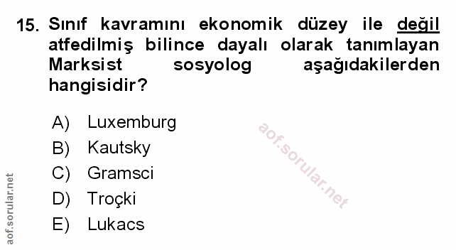 Soru 15