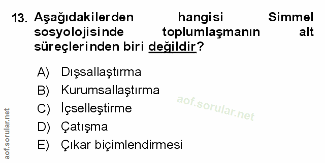 Soru 13