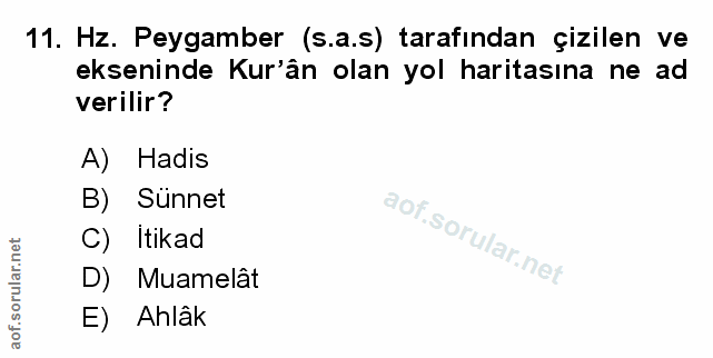 Soru 11