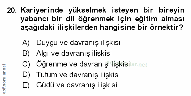 Soru 20