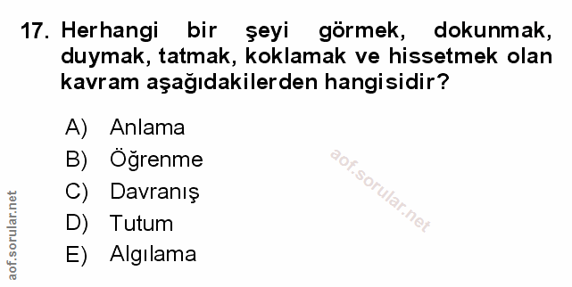 Soru 17