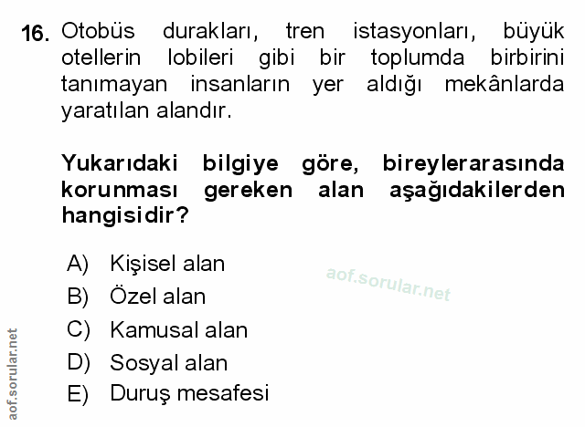Soru 16