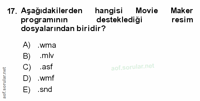 Soru 17