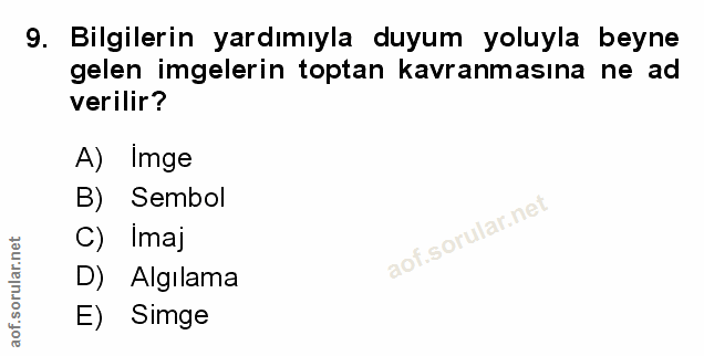 Soru 9