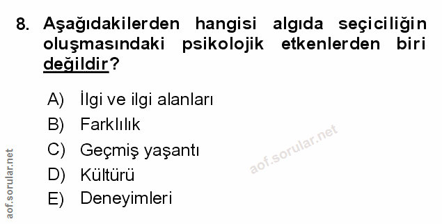 Soru 8