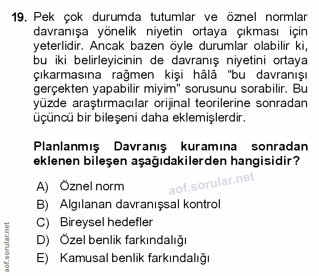 Soru 19