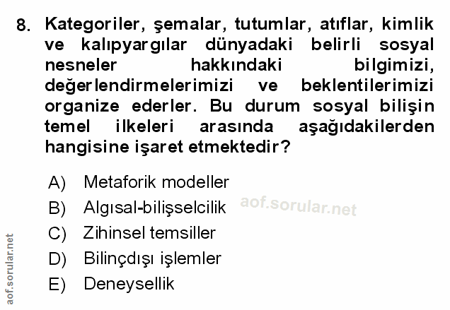Soru 8