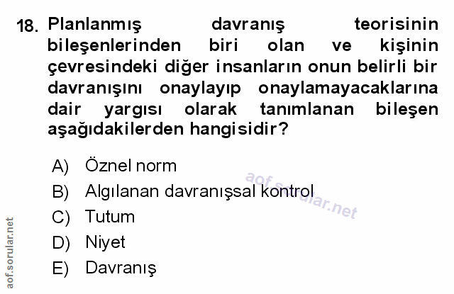 Soru 18