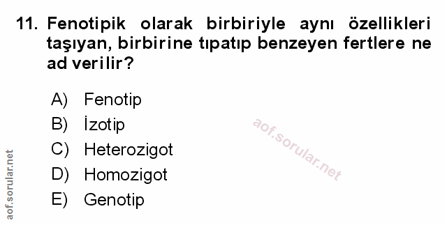 Soru 11