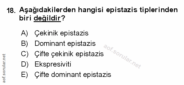 Soru 18