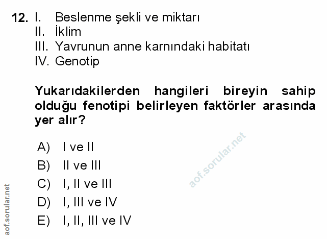 Soru 12