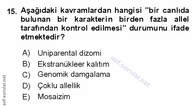 Soru 15