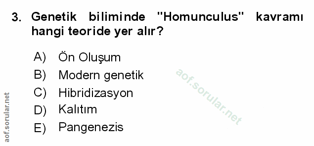 Soru 3