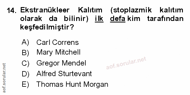 Soru 14