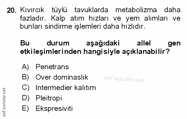 Soru 20