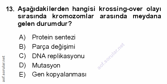 Soru 13