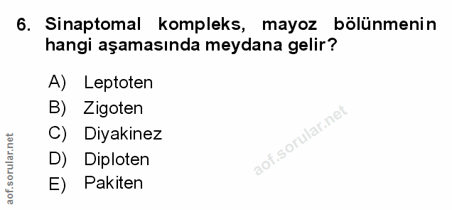 Soru 6