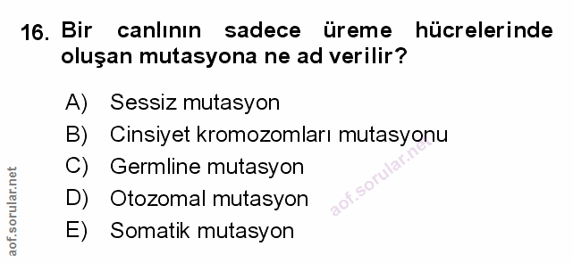 Soru 16