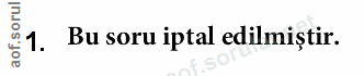 Soru 1