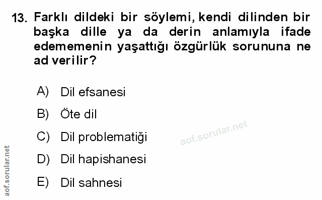 Soru 13