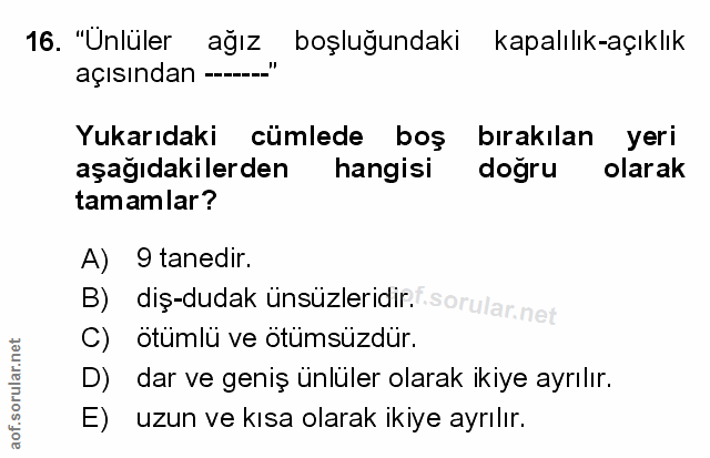 Soru 16
