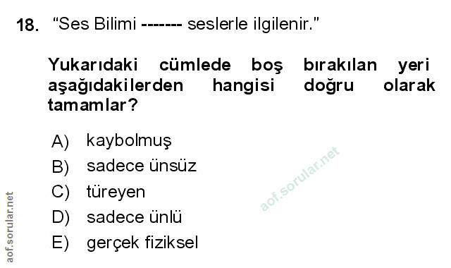 Soru 18
