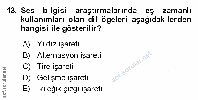 Soru 13
