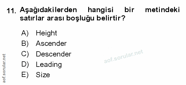 Soru 11