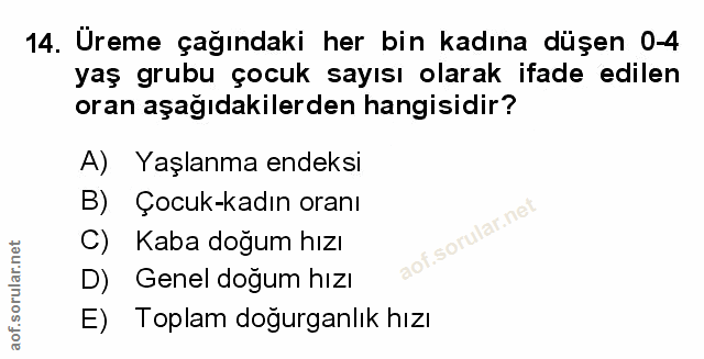 Soru 14