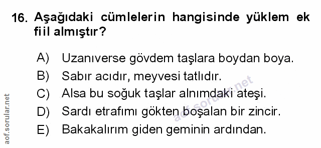Soru 16