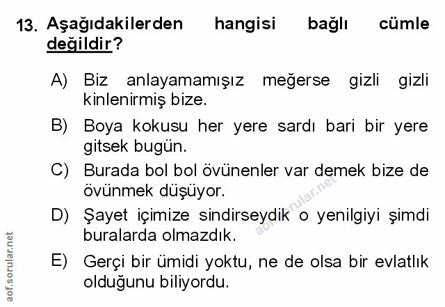 Soru 13