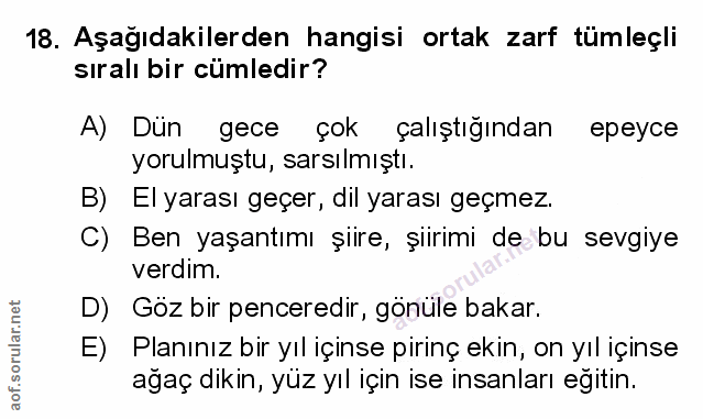 Soru 18