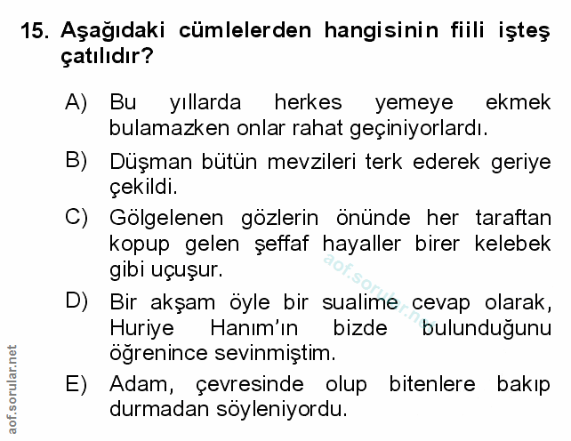 Soru 15