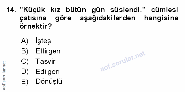 Soru 14