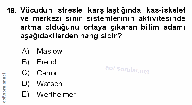 Soru 18