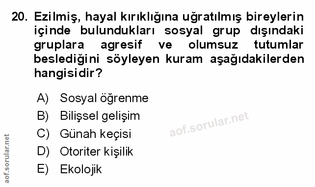 Soru 20