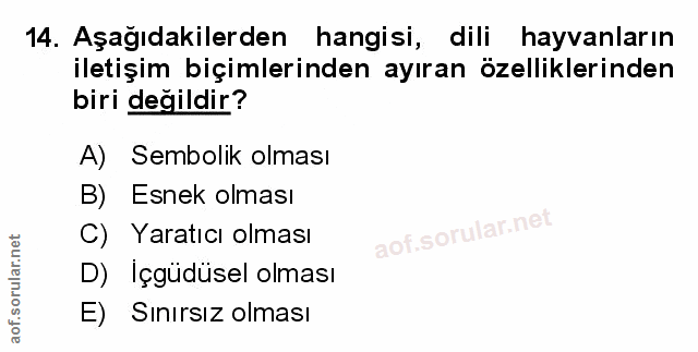 Soru 14