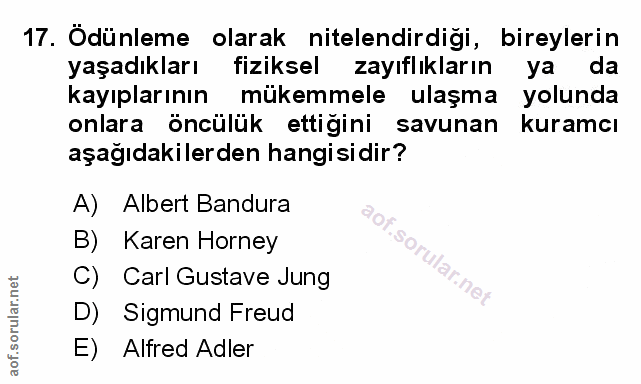 Soru 17