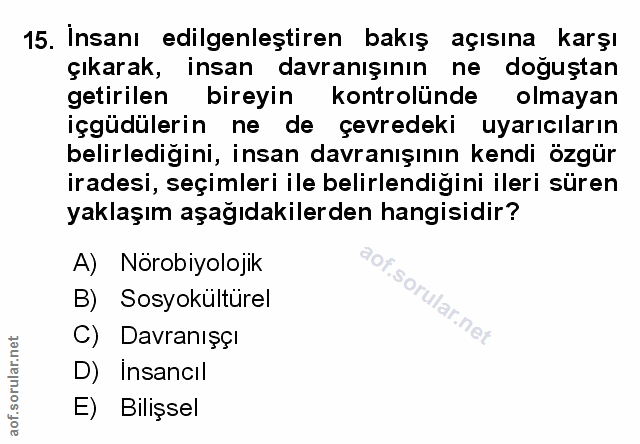 Soru 15