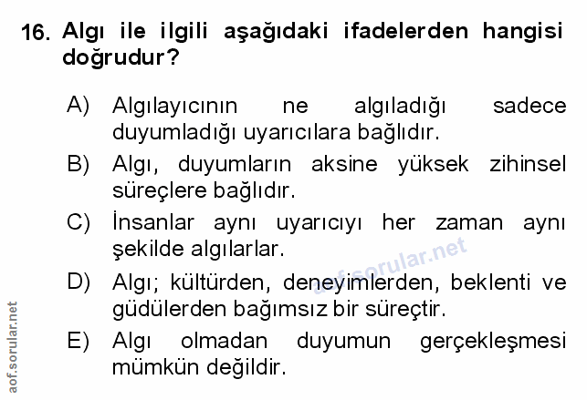 Soru 16