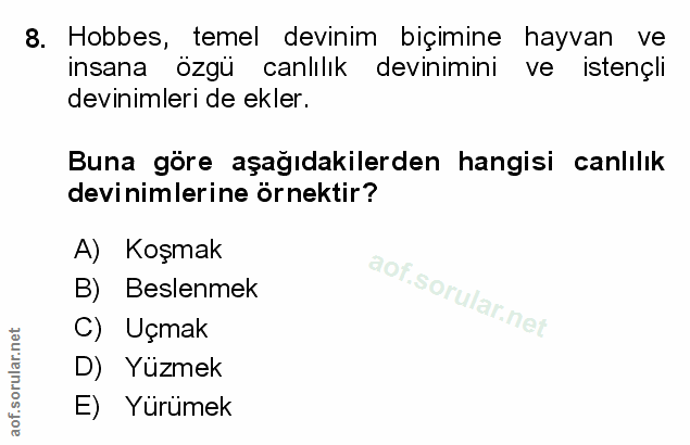 Soru 8