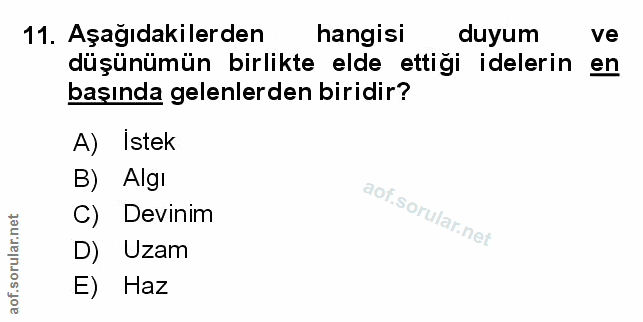Soru 11