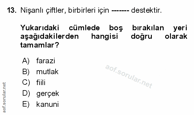 Soru 13