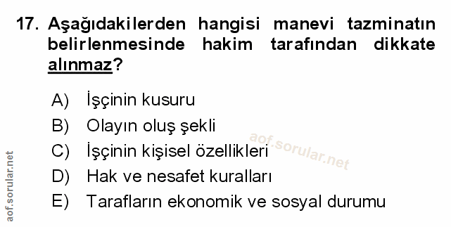 Soru 17